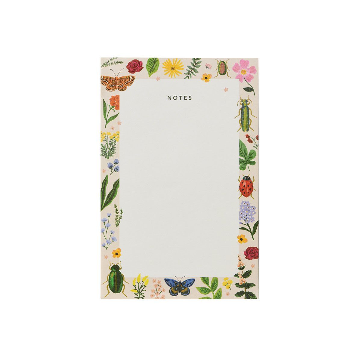 Curio Notepad