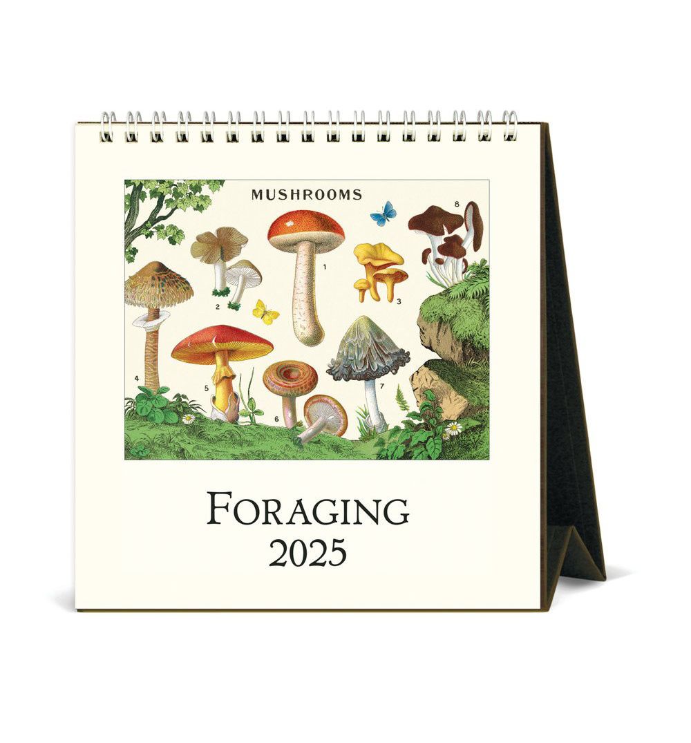 Foraging Desk Calendar 2025