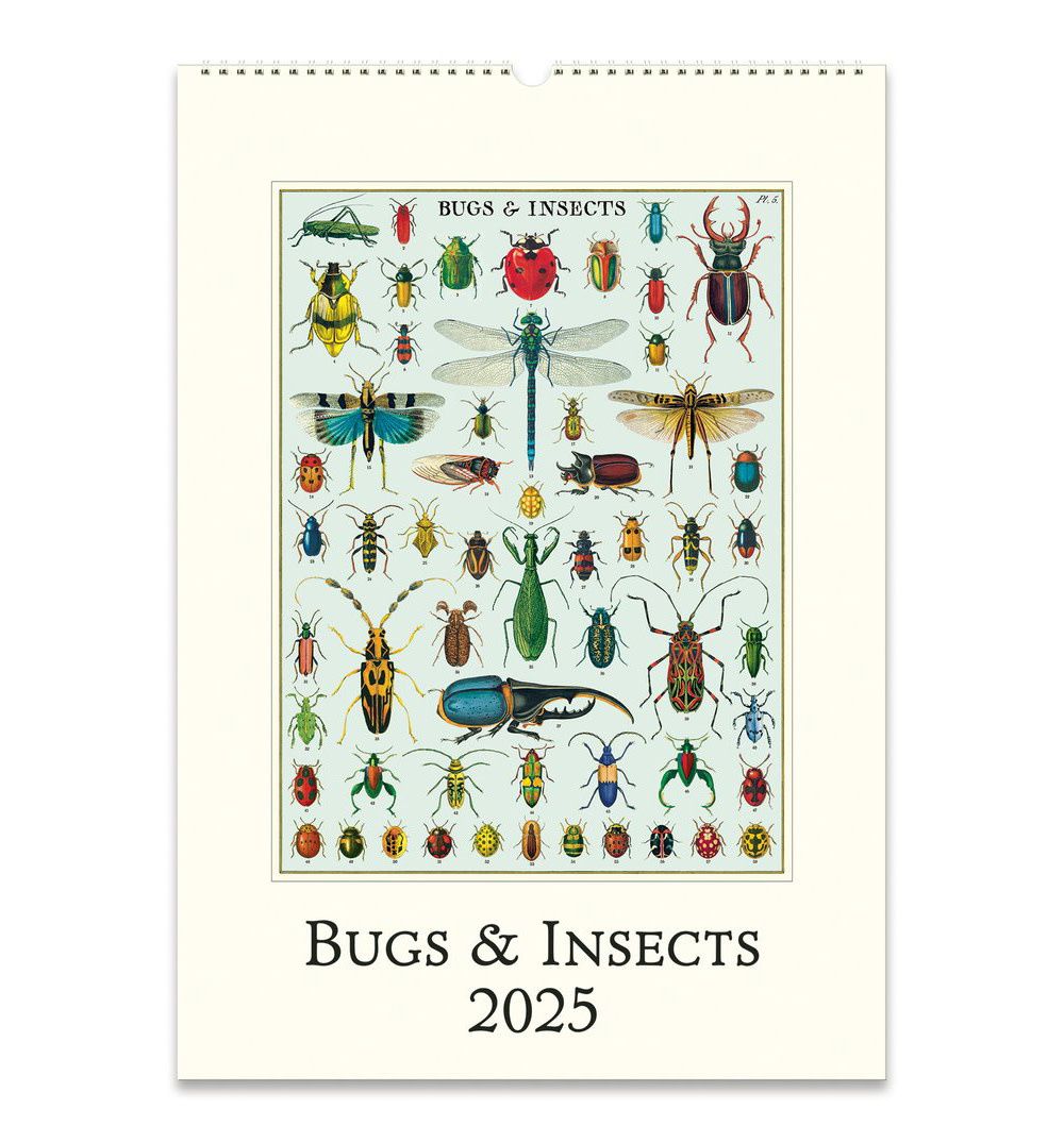 Bugs &amp; Insects Wall Calendar 2025