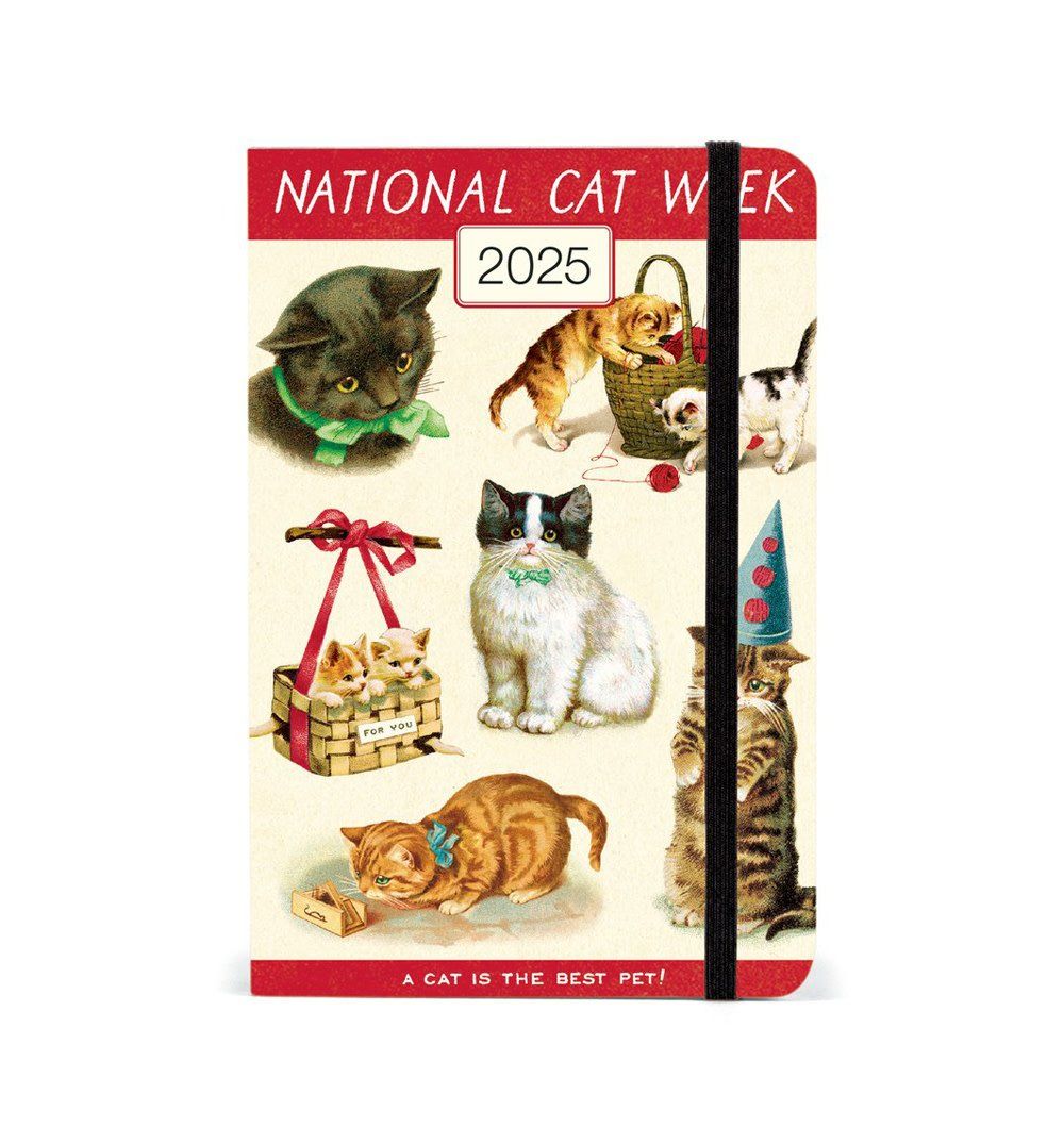 Cat Weekly Planner 2025