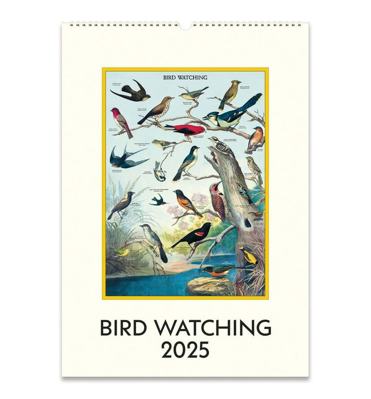 Birdwatching Wall Calendar 2025