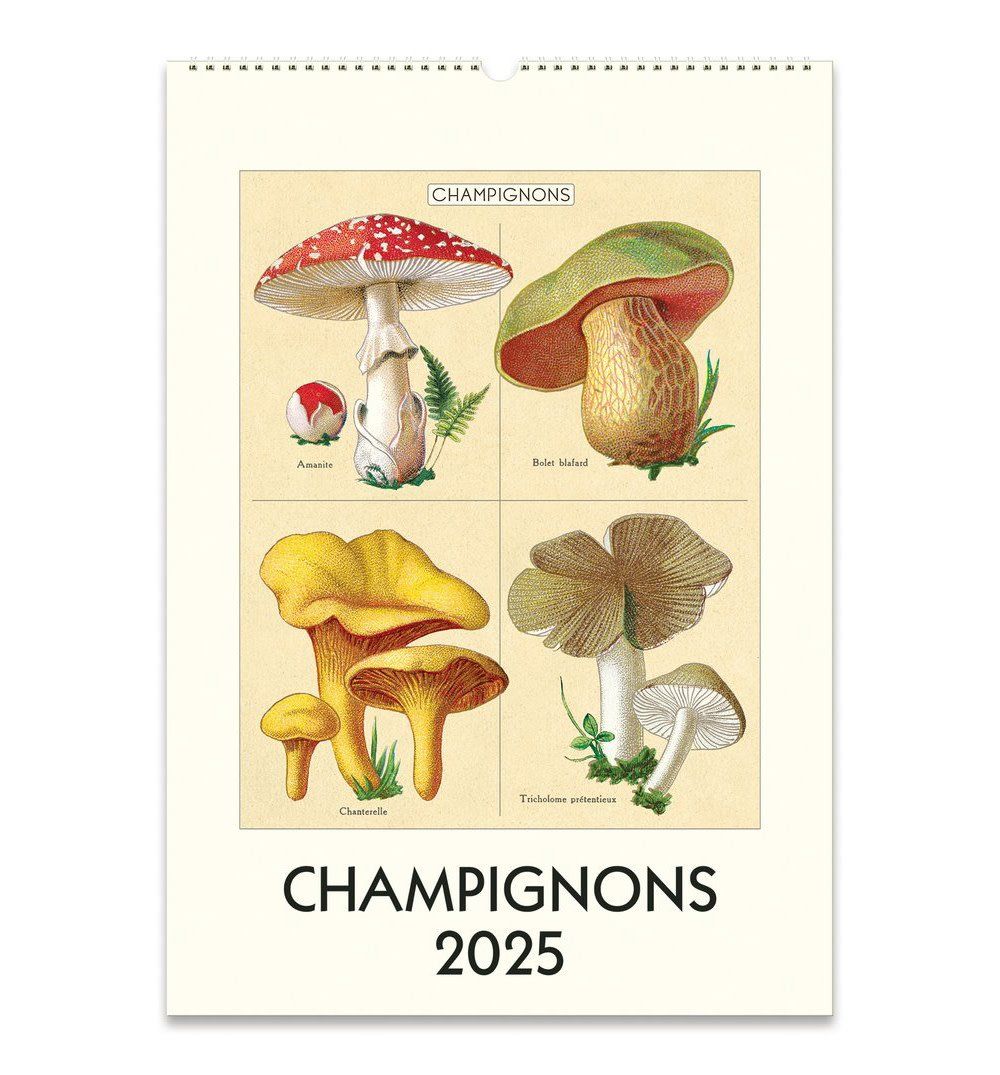 Champignons Wall Calendar 2025