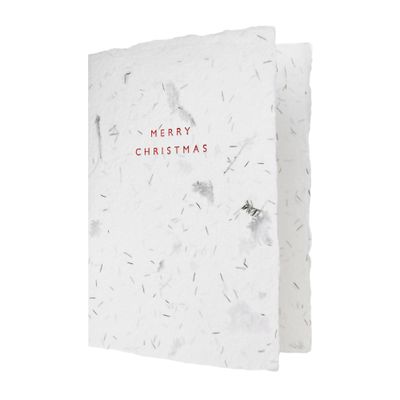 Merry Christmas Greeted Fern Letterpress Card, Size: Single