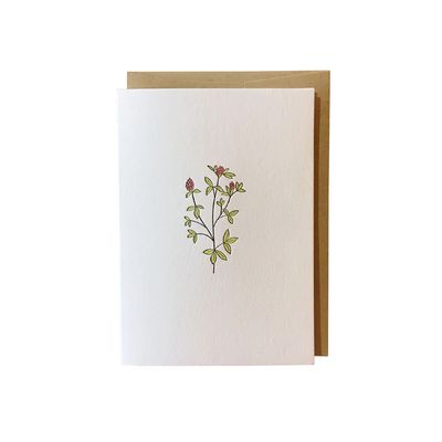 Red Clover Wildflower Letterpress Card