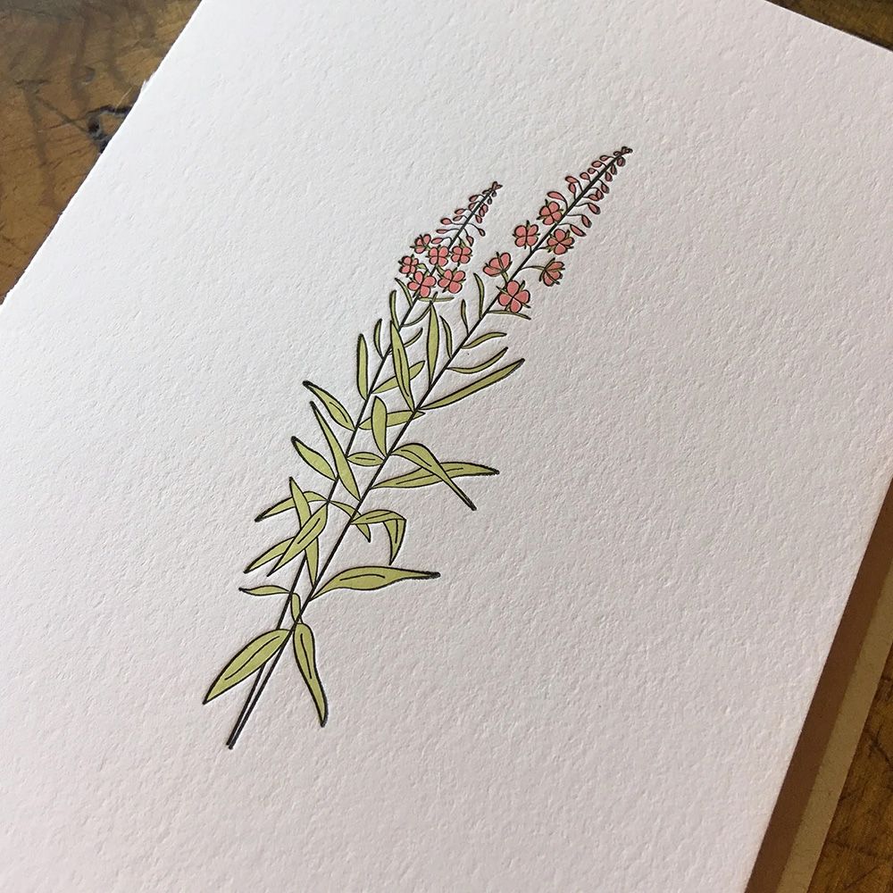 Fireweed Wildflower Letterpress Card