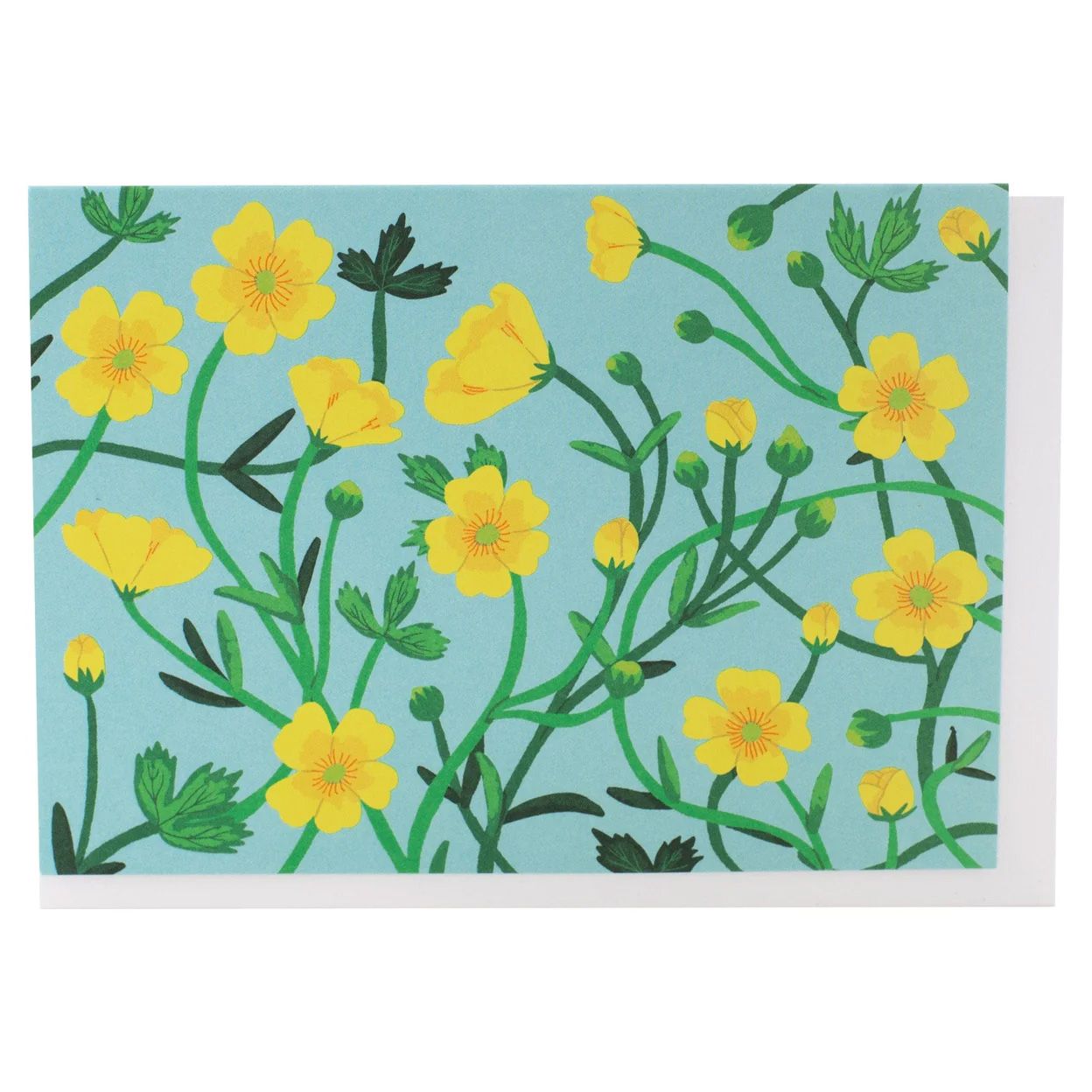 Buttercups Note Card - Box of 10