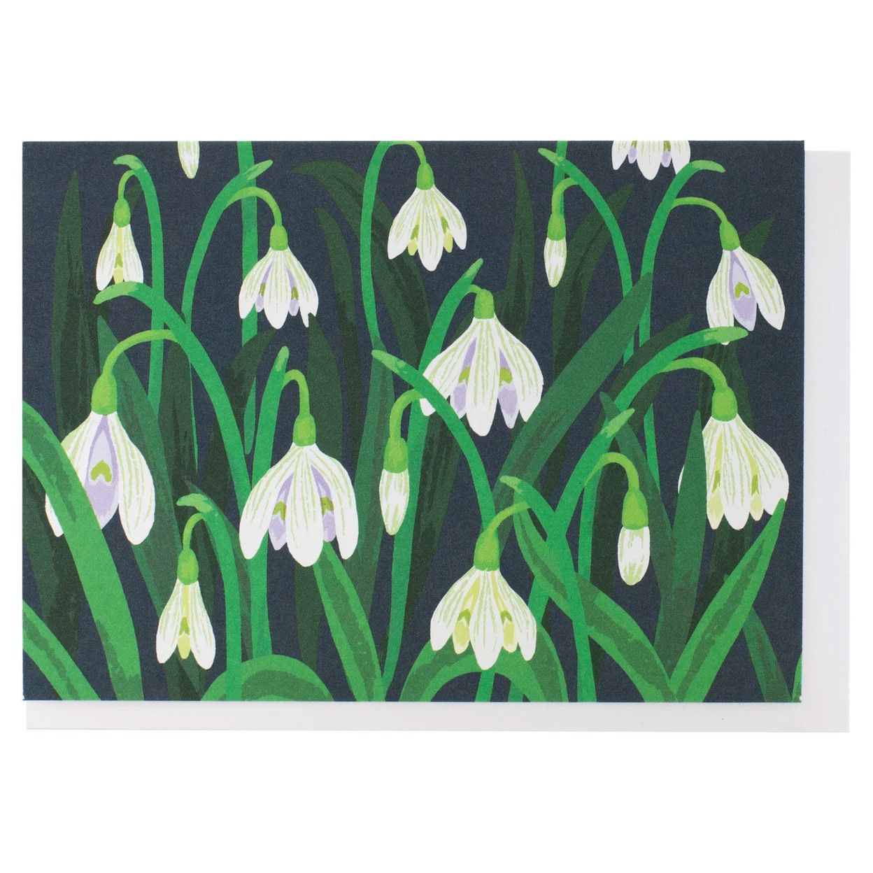 Snow Drops Note Card - Box of 10