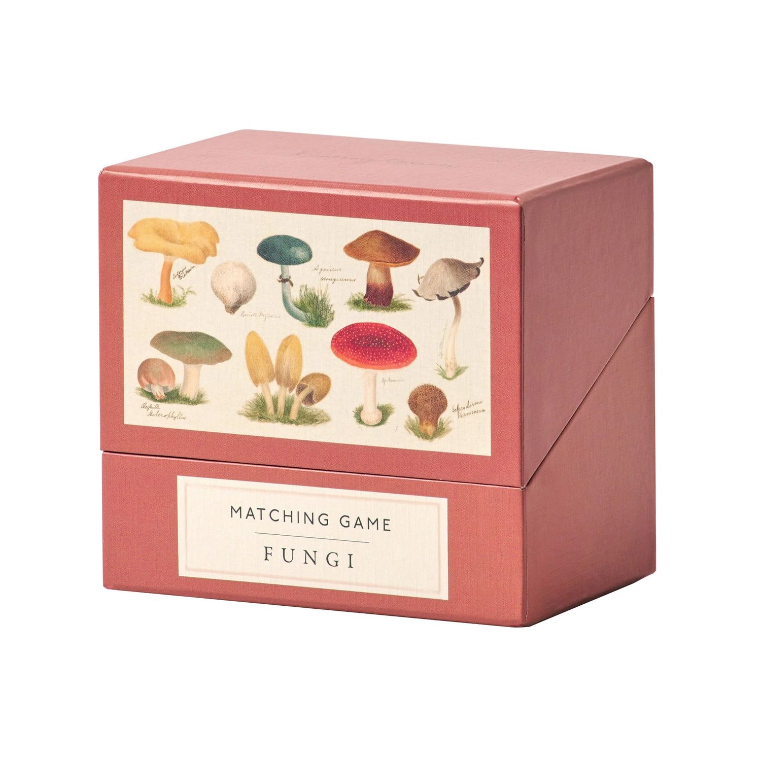 Matching Game - Fungi