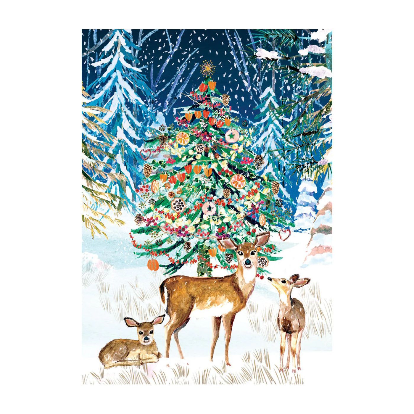 Wild Winter&#39;s Song Cards Box of 5
