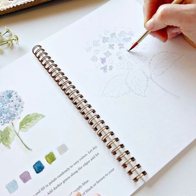 Emily Lex - Watercolor Workbook - Flowers
