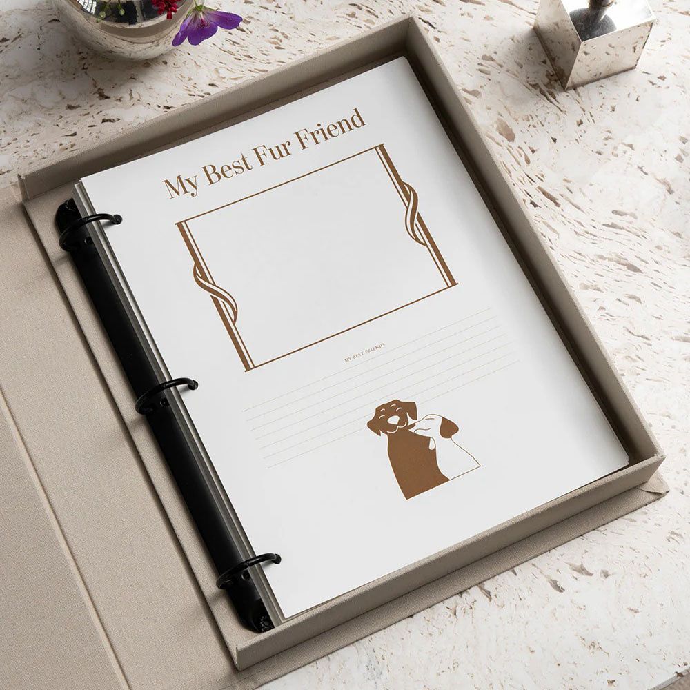 Photo Album - A Dog&#39;s Life