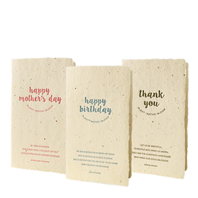 Wildflower Mix Notes