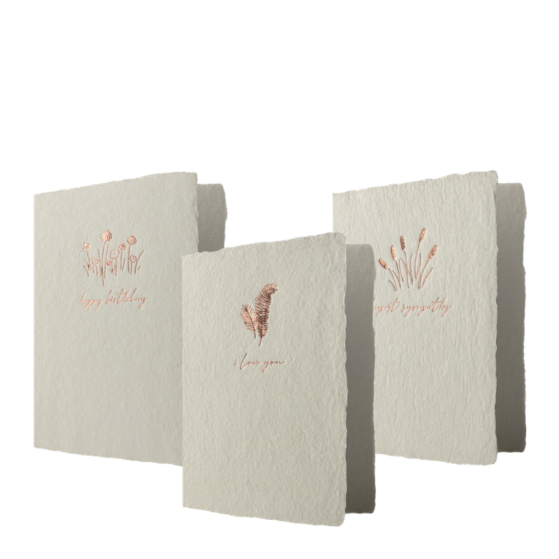 Prairie Rose Notes