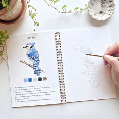 Emily Lex Watercolor Workbook - Birds