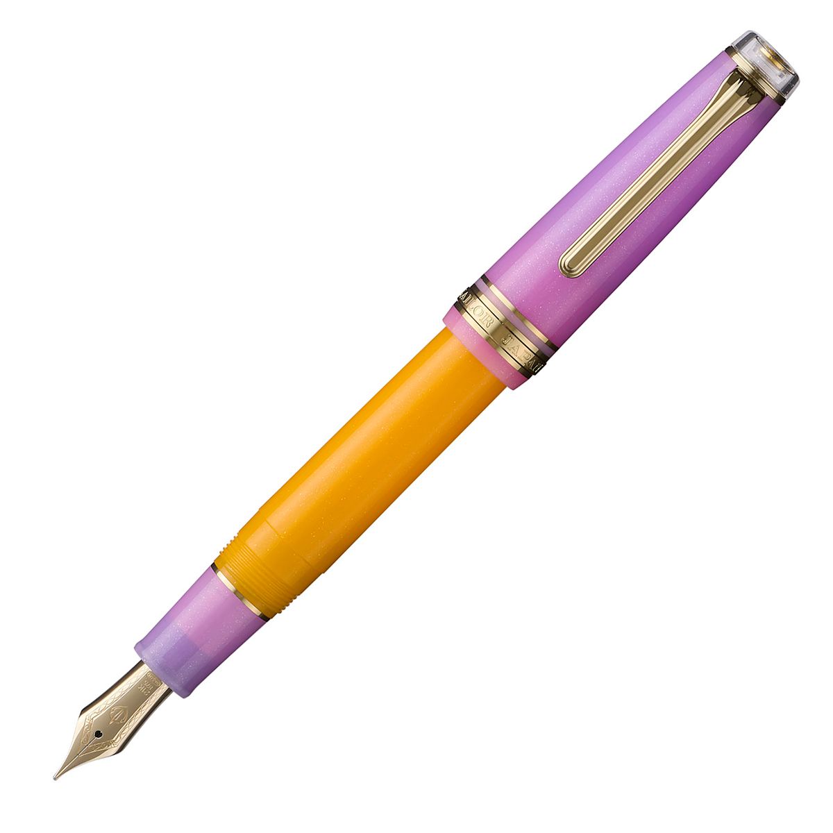 Sailor Pro Gear Smoothie 2 Acai Berry Fountain Pen