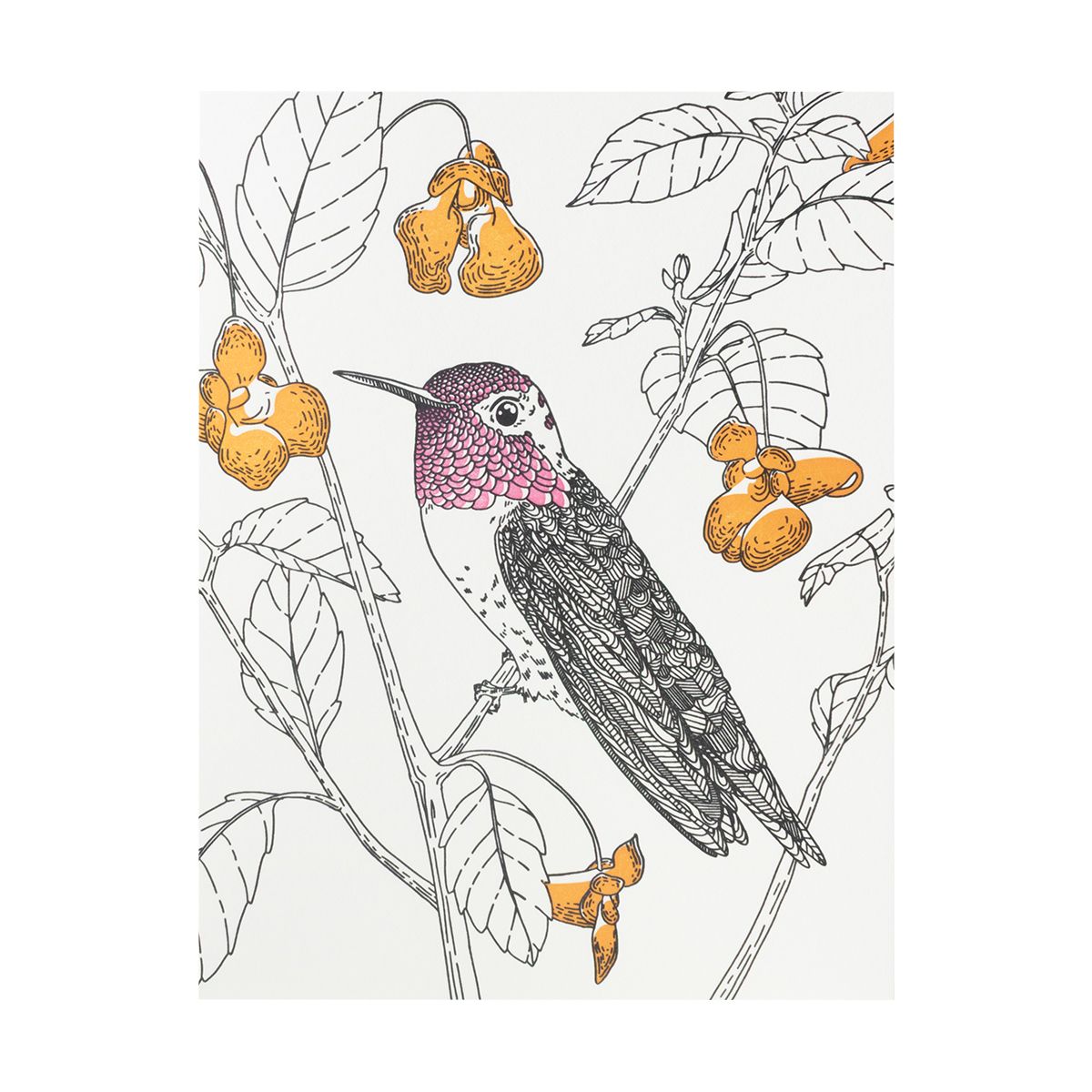 Anna&#39;s Hummingbird Letterpress Card