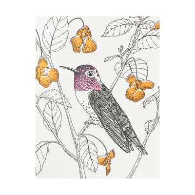 Anna&#39;s Hummingbird Letterpress Card