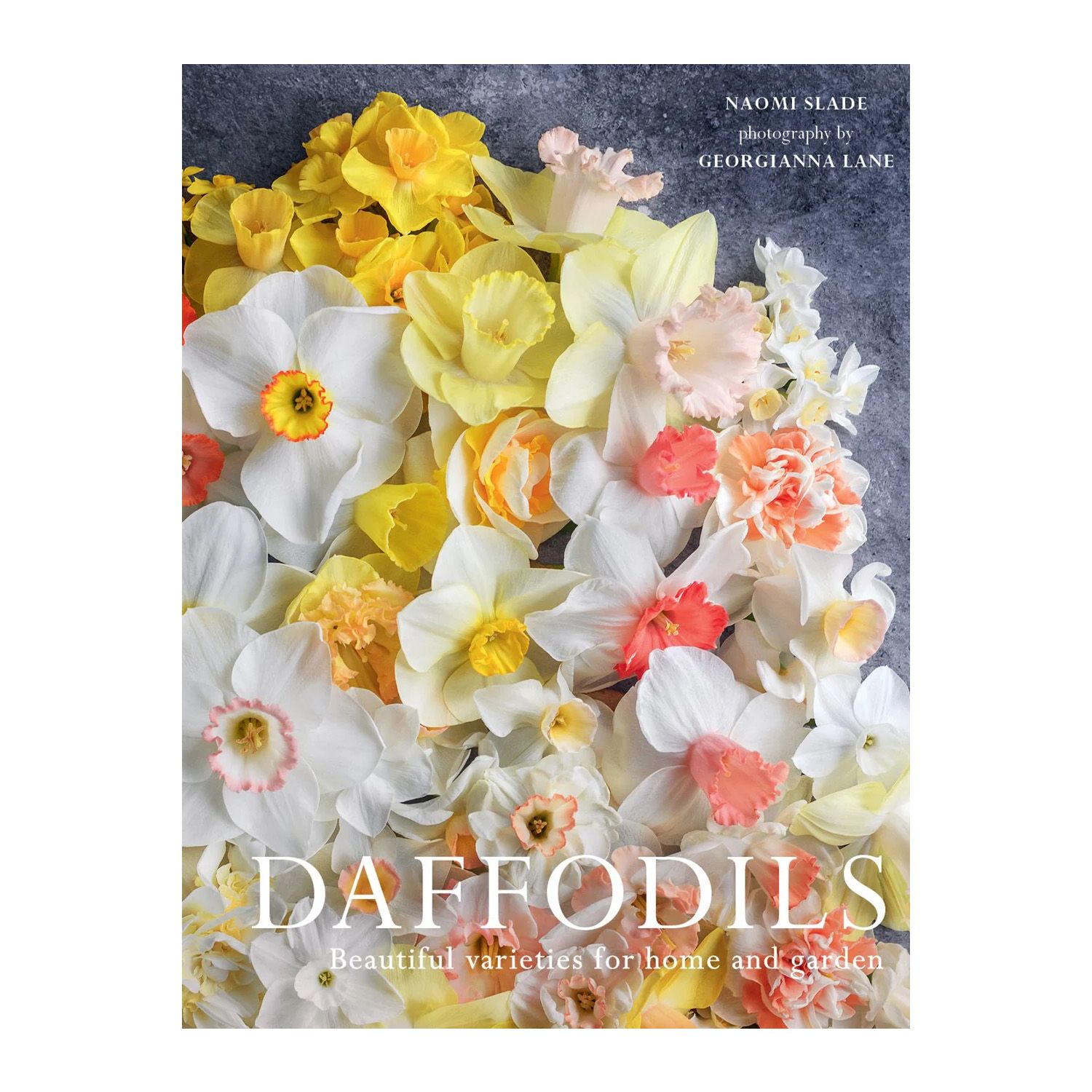 Daffodils: Beautiful Varieties for Home and Garden Hardcover Book