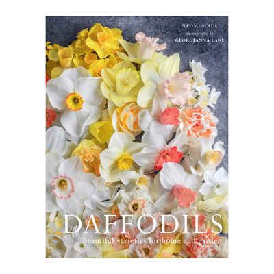 Daffodils: Beautiful Varieties for Home and Garden Hardcover Book