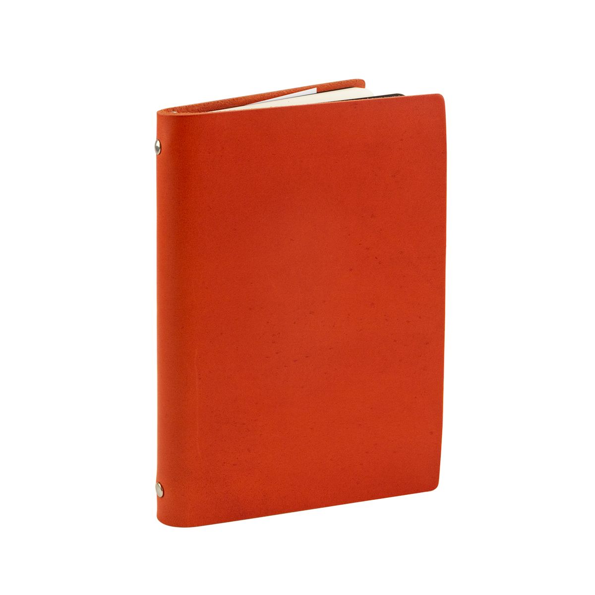 Pocket Notebook - Carrot