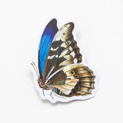 Butterfly Sticker