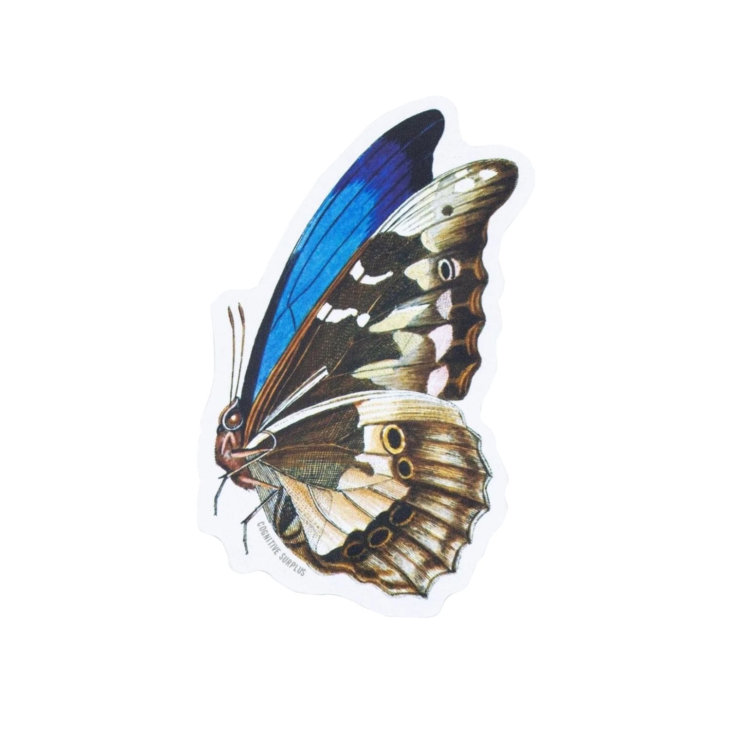 Butterfly Sticker