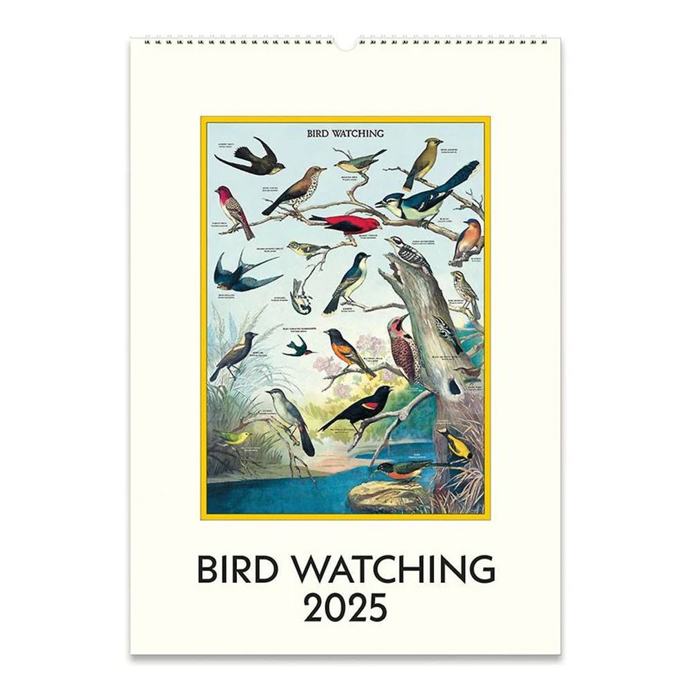 2026 Wall Calendar - Bird Watching