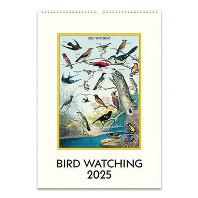 2026 Wall Calendar - Bird Watching