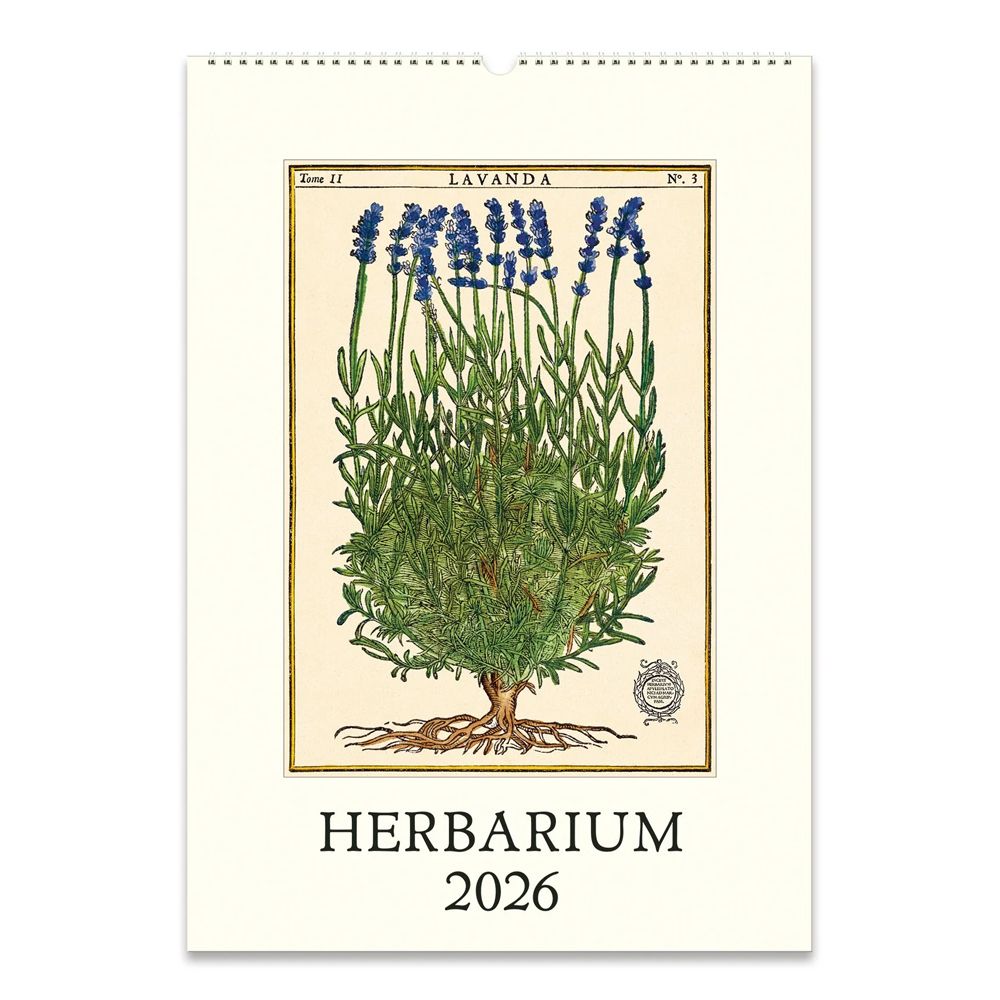 2026 Wall Calendar - Herbarium