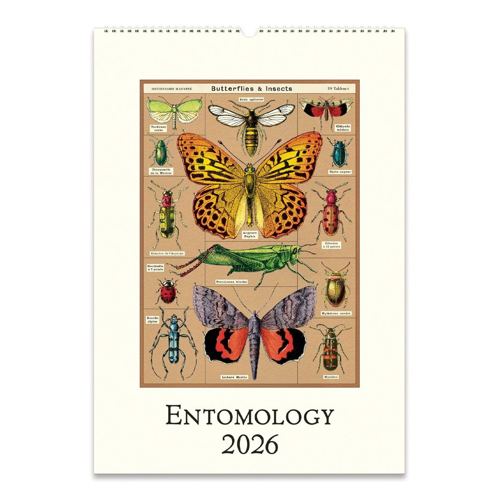 2026 Wall Calendar - Entomology