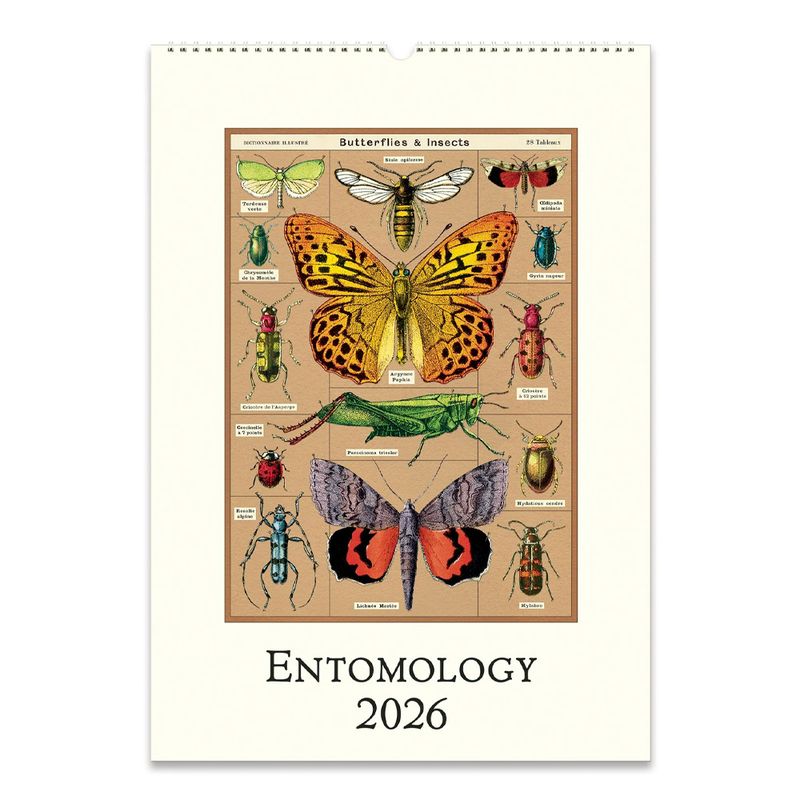 Cavallini Papers Co 2026 Wall Calendar Entomology 5054236369 