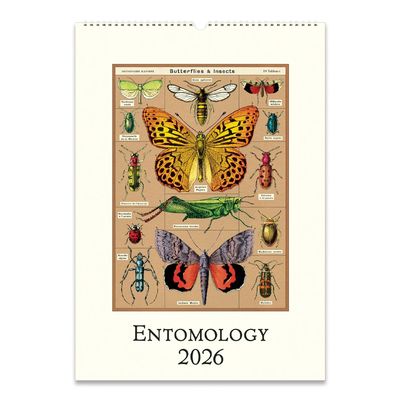 2026 Wall Calendar - Entomology