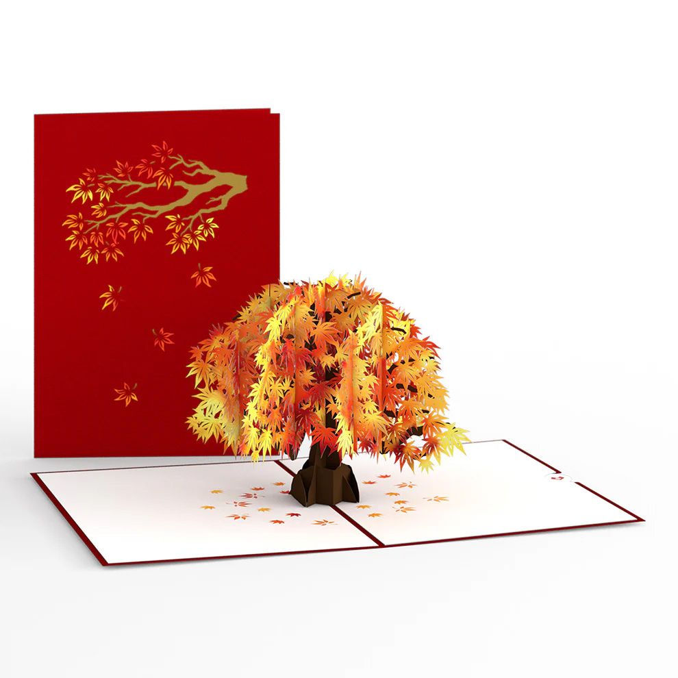 Sugar Maple Tree Pop-Up Card