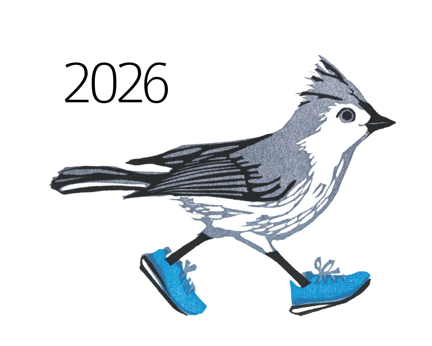 Twelve Birds in the Neighborhood for 2026 Wall Calendar
