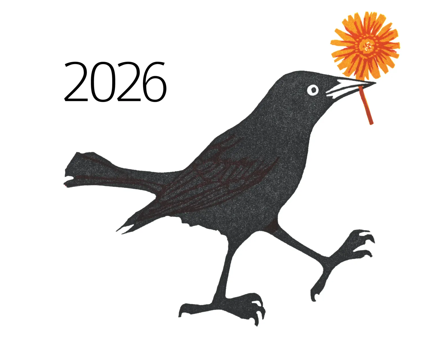 Twelve Grackles for 2026 Wall Calendar