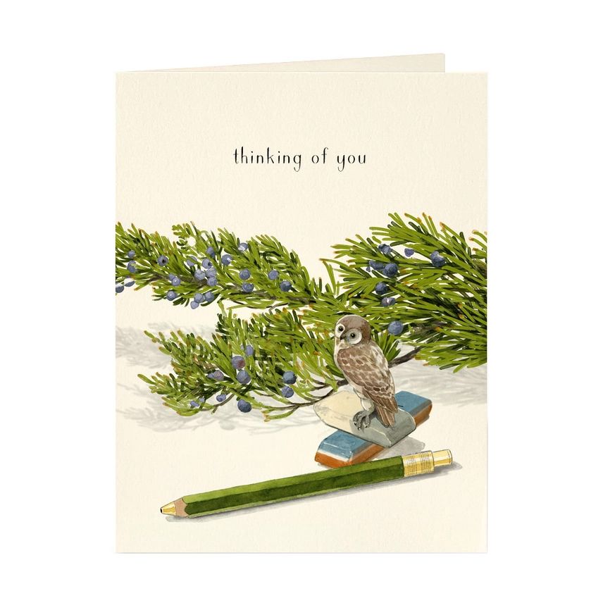 Little Owl Card