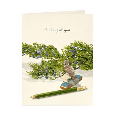 Little Owl Card