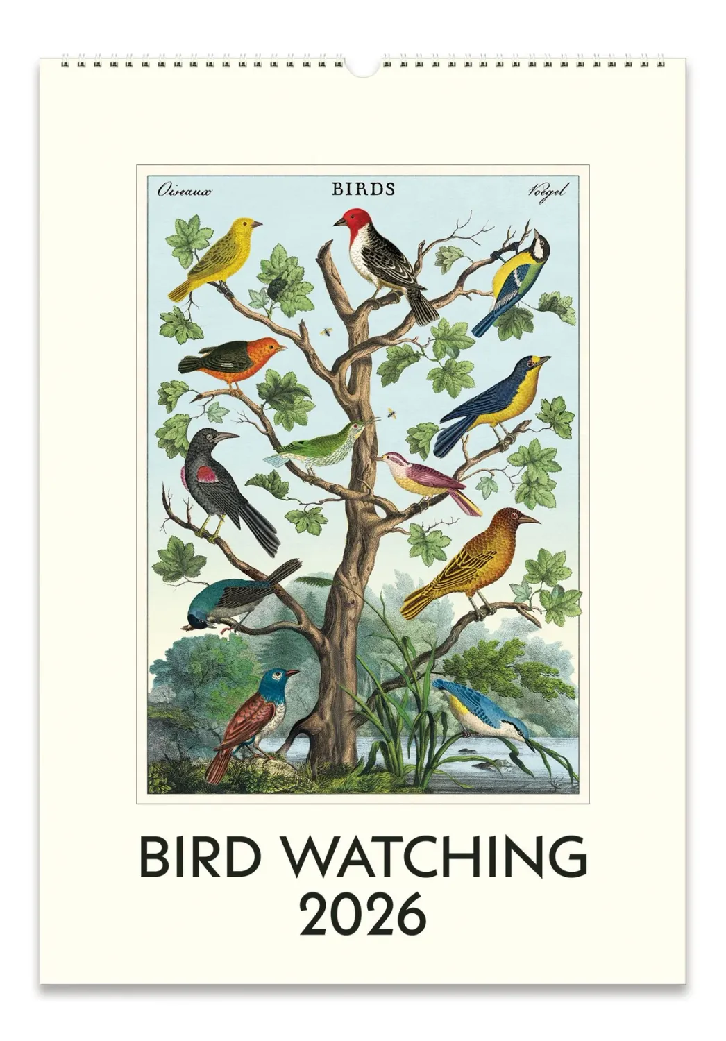Cavallini Papers &amp; Co. 2026 Hanging Calendar - Bird Watching