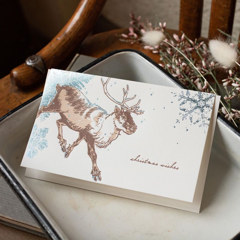 Boxed Holiday Cards &amp; Notes
