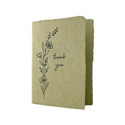 Thank You Olive Paper Letterpress Greeting Cards (box of 6)