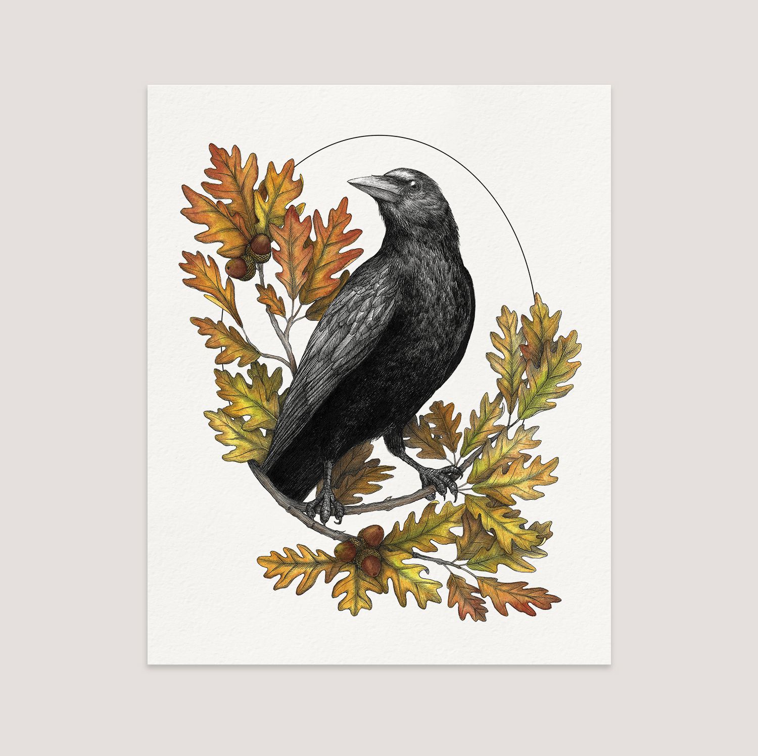 Crow&#39;s Vigil Art Print (8x10)