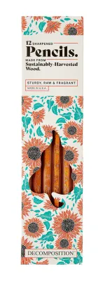 Decomposition Pencils - Sunflowers (Pack of 12)