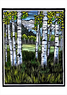 Molly Hashimoto: Trees Assortment Boxed Notecards (box of 20)