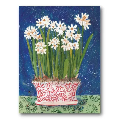 Paperwhites Holiday Cards (box of 10)