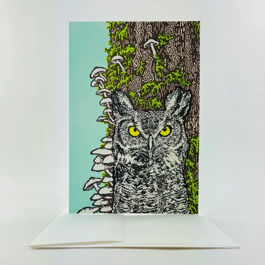Old Growth Owl &amp; Mushrooms Greeting Cards (box of 6)