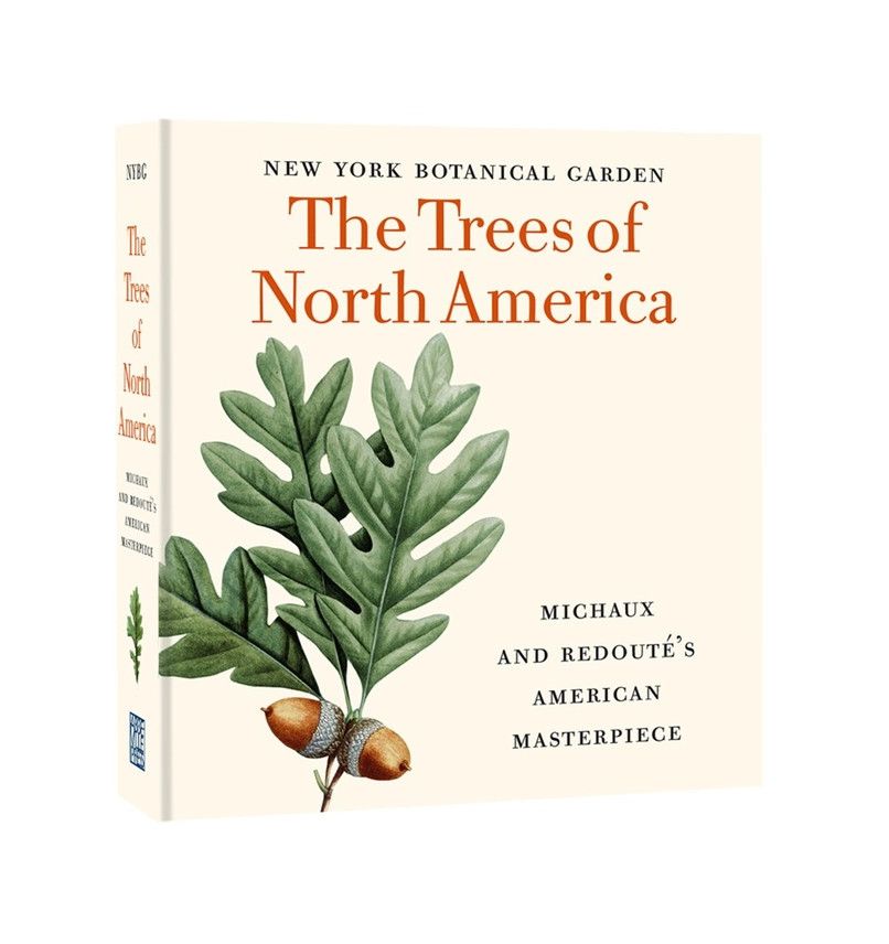 The Trees of North America: Michaux and Redouté&#39;s American Masterpiece