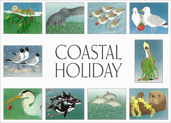 Coastal Holiday Assorted Cards (box of 10)