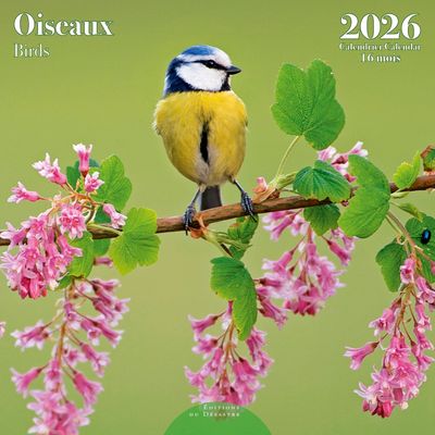 Birds Wall Calendar 2026