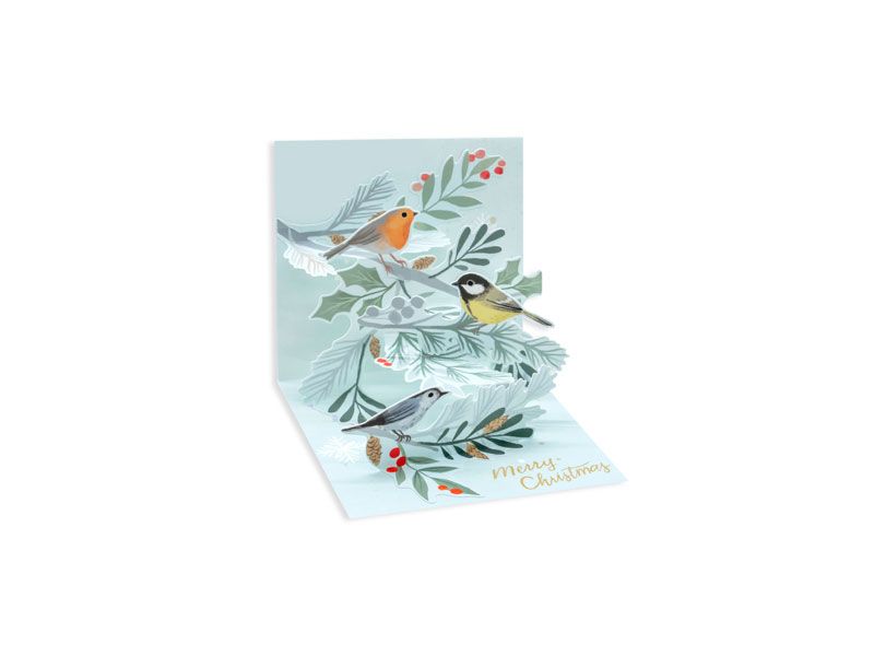 Winter Birds Mini Pop-Up Card
