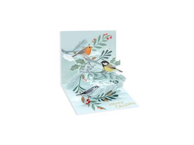 Winter Birds Mini Pop-Up Card